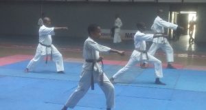 Shito Ryu Karate Association of Nigeria concludes technical training seminar in Lagos