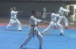Shito Ryu Karate Association of Nigeria concludes technical training seminar in Lagos