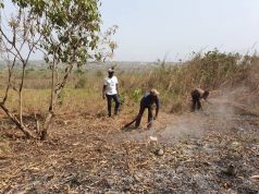 Update on campus of SOCA in Wasimi Orile – Segun Odegbami