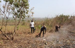 Update on campus of SOCA in Wasimi Orile – Segun Odegbami