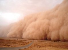 HARMATTAN RELATED DISEASES AND HOW TO STAY HEALTHY DURING THE PERIOD
