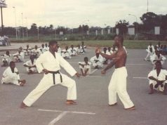 Nigeria Kungfu Federation to establish training centres – President