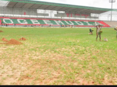 FROM OGBE TO OGBEMUDIA STADIUM – Dele Olowu