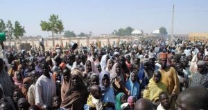 AMG Hosts Inaugural Sport Festival among IDPs Camps in Borno