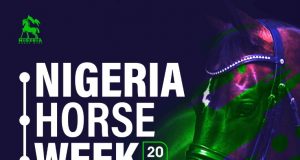 Nigeria Horse Week set to expose the hidden treasure in Horse Sports