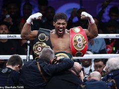 David Haye tells Anthony Joshua to emulate Tyson Fury’s spectacular knockout of Deontay Wilder when he faces Kubrat Pulev this summer