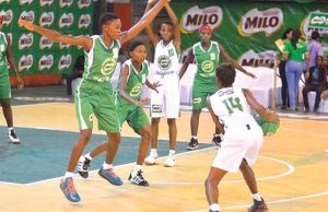 Nestle Milo Basketball Championship gets tip off date