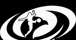 NWFL logo launch best thing to happen to women’s football- Pinnick