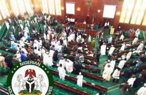 NPFL 2019/20: House of Representatives to look into health facilities provided for league matches