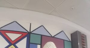 Nigerian football lacks proper developmental programmes – Nigerian FIFA licensed agent, Olawale Onipede