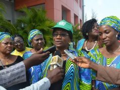 NAWIS pleads with Gov Ayade over Pelican Stars unpaid salaries