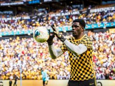 Enyeama Backs Akpeyi To Shine In Europe
