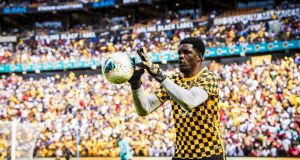 Enyeama Backs Akpeyi To Shine In Europe