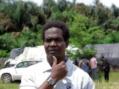 Lions Arena will add great value to Nigerian football – Hajji Gafar