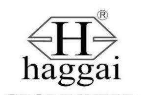 Haggai Sports Vows To Continue Supporting Grassroots Sports, As Iwaya Community Brace Up For Maiden LAB Football Carnival