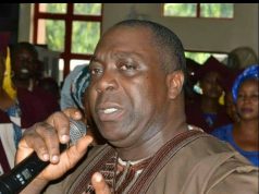NFF Appoints Adesanya As New NNL Chief Operating Officer