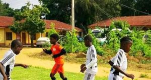 Alimosho APFAN Football League May Hold October