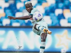 Zola Hails Osimhen’s Qualities As He Backs Nigerian To Help Gennaro Gattuso’s Napoli Title Push
