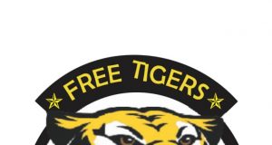 2020 FAFT Get Quarter Finalist As Future Stars And Free Tigers Go For Playoff