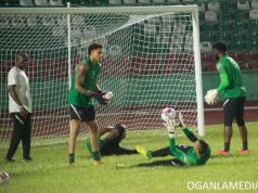 Maduka Okoye: It Isn’t Easy To Be Nigeria’s No.1