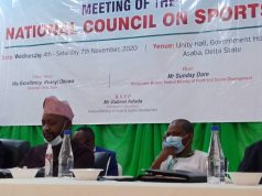 National Council Wants Special Funding For Sports Facilities In All States, FCT
