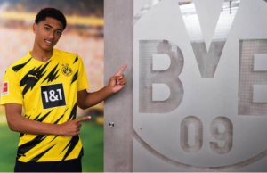 Online betting in Nigeria – 1xBet offers the most profitable options on the market