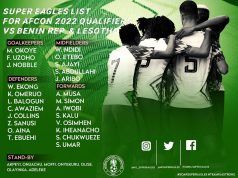 Rohr lists Musa, Ekong, 22 others for Squirrels, Crocodiles