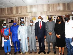 FIFA Council Seat: Federal Government Gives Amaju Pinnick Solid Backing