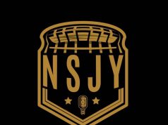 Nigeria Sports Journo Youngies, NSJY Unveils Logo