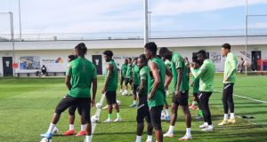 FIFA World Cup Qatar 2022 Race: 22 Eagles Train In Lagos As Les Fauves Arrive