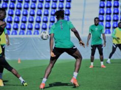 International Friendly: Eagles And Lions Clash Again In Vienna
