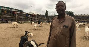 June 12: “We Are Expecting Rams From Every States In The Country”– Adedeji Adebayo