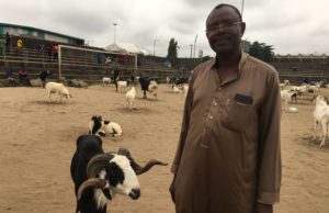 June 12: “We Are Expecting Rams From Every States In The Country”– Adedeji Adebayo
