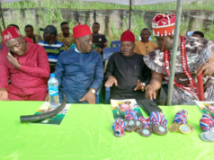 Use Sports To Curb Insecurity – Pillar Of Sports Urges Traditional Rulers