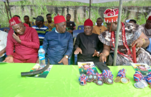 Use Sports To Curb Insecurity – Pillar Of Sports Urges Traditional Rulers