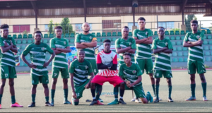 36 Lion Set For Training Tour