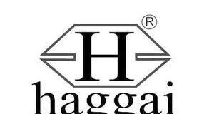 Haggai Sportswear Reactivates Partnership With Ogunjobi Gold Cup