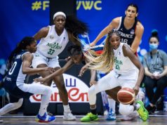 NBBF Ecstatic Over 2022 World Cup Ticket, Praises Buhari, Sunday Dare For Consistent Support