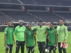 Jose Peseiro Hints At More Chances For NPFL Players In Super Eagles Setup