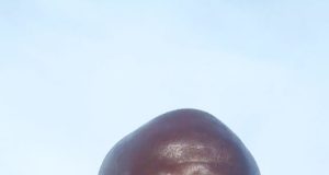 “Our Emphasis Remains On Developing The Players,” Coach Akande Fatai Says After Promoting Dannaz FC