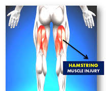 In Good Shape: Understanding Hamstring injury – By Dr. Kolade Kolapo