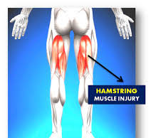 In Good Shape: Understanding Hamstring injury – By Dr. Kolade Kolapo