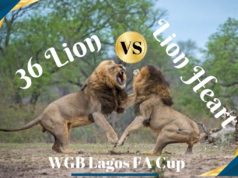 WGB Lagos FA Cup: 36 Lion, Lion Heart In Fierce Battle