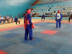 Nigeria Vovinam Vietvodao Federation Announces New Date For Training Seminar