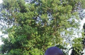 Six Teams Battle For Owo Unity Cup In Mushin