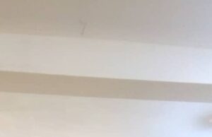 SWAN Congratulates Imo FA Vice Chairman On His Birthday