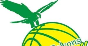Kwara Falcon Targets Foreign Pros As BAL Preparation Begins On Monday