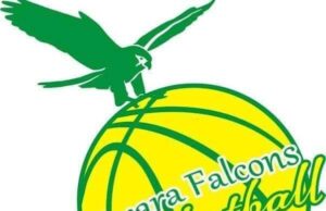 Kwara Falcon Targets Foreign Pros As BAL Preparation Begins On Monday