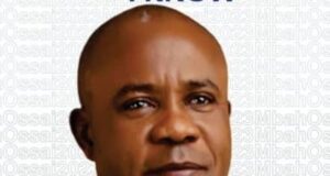 Mbah’s Election Excites NILAYO Boss, OLopade