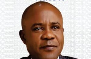 Mbah’s Election Excites NILAYO Boss, OLopade